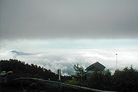 �x�m�R�܍���