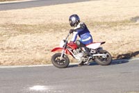 �o�C���o�C���I