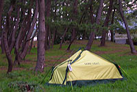 �Ɋ��n���L�����v