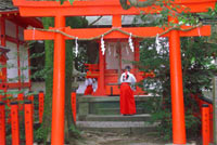 �F�쑬�ʑ��