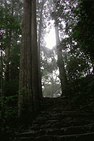 �F��ߒq��Ё@�F��Ó�