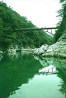 �o�J�͊ό�����ȁI