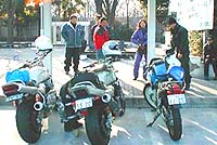 �C�V���W��