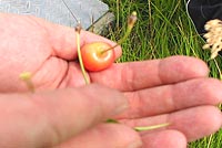 ��������