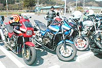 �y�q�w�P�Q�O�O