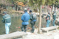 ��Ƃ���ނ��