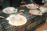 �Ă��܂���