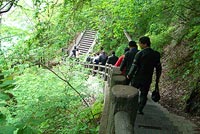 ��������̑�@�ό�